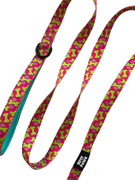 "Paws and Play" Leash