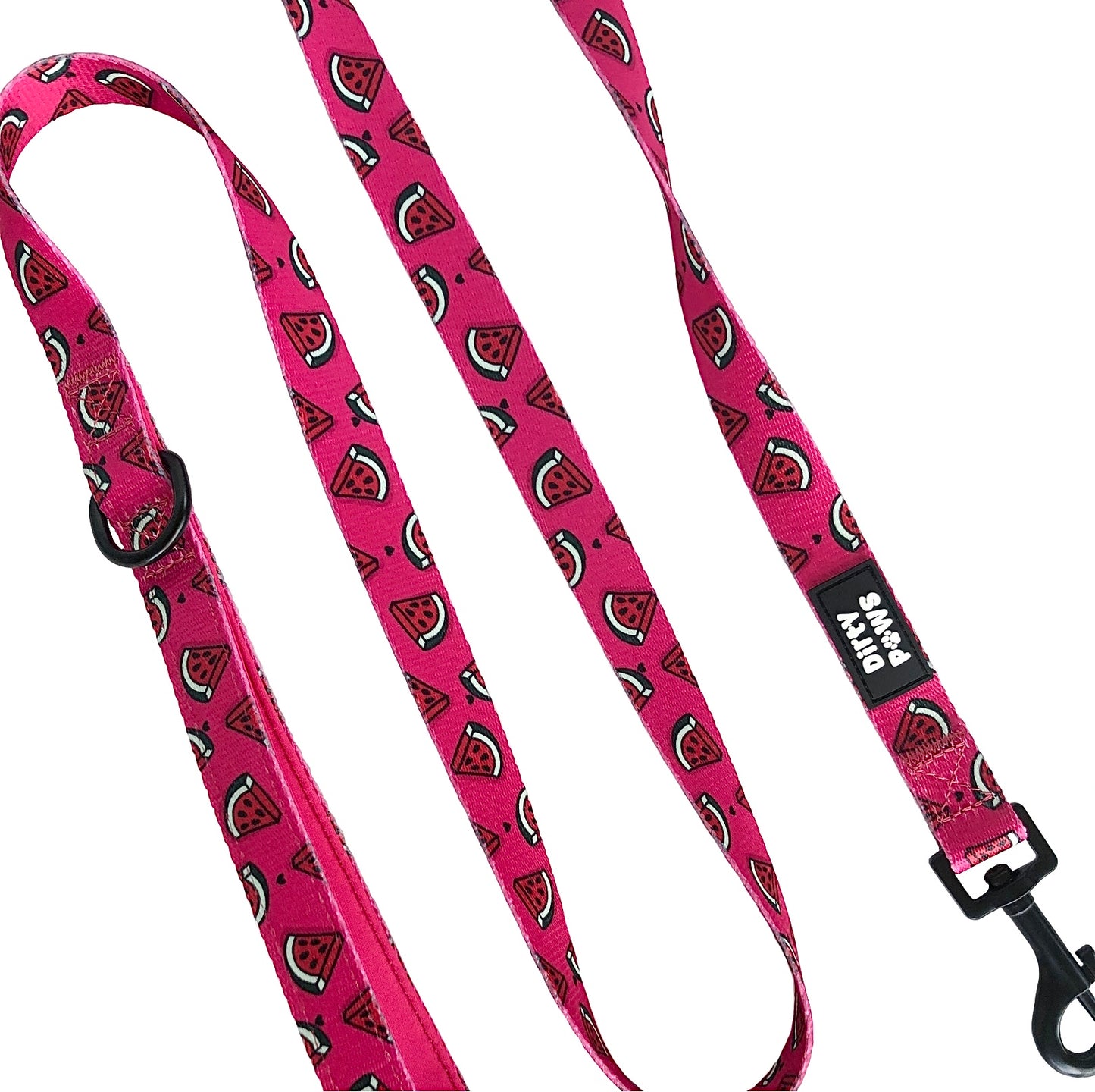 fun summer pink watermelon dog leash