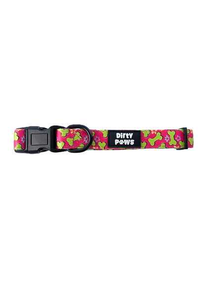 "Paws & Play" Collar