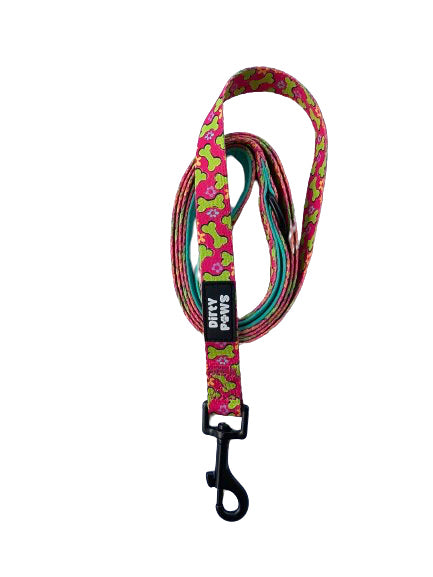 "Paws and Play" Leash