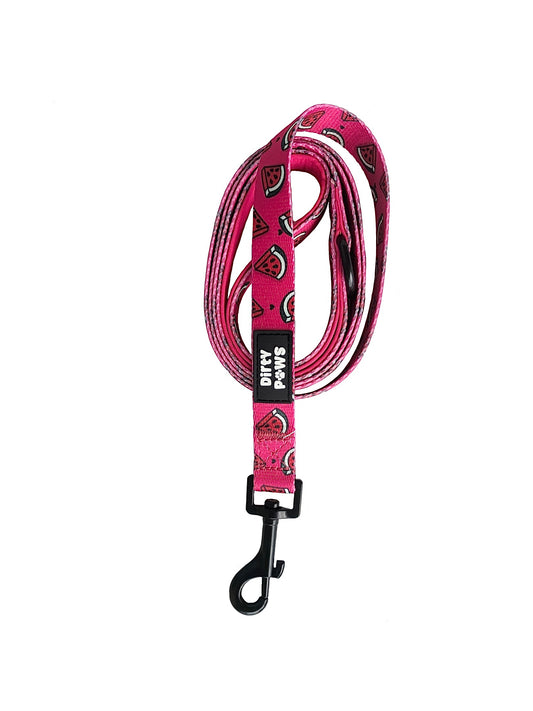 fun summer pink watermelon dog leash 