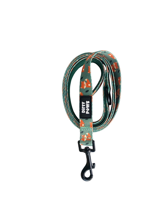 cute fox dog leash 