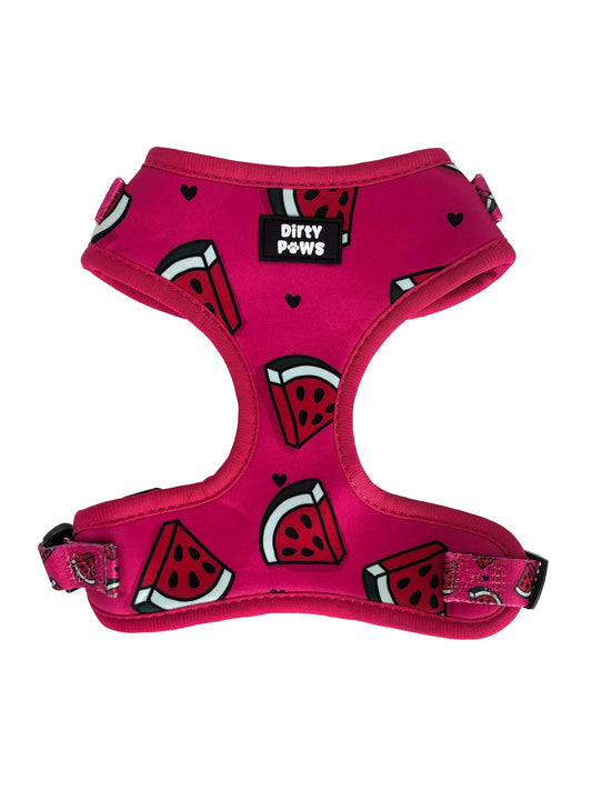 fun summer watermelon pink dog harness